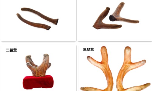复方苁蓉胶囊-权威复方苁蓉胶囊吃多久见效平台,分享专业复方苁蓉胶囊功能与主治知识_复方苁容益智胶囊价格网